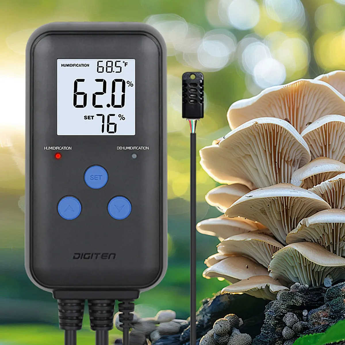 DIGITEN Humidity Controller Pre-Wired Digital Humidistat with Temperature Display, Dual-Stage Outlet Humidifier /Dehumidifier for Mushroom,Reptile, Greenhouse, Fan, Grow Tent