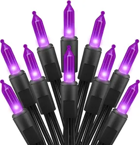 Valentines Day Purple Mini Lights, 50 Count 13 Feet Incandescent Bulb Mini String Lights, Connectable Light for Haunted House Ghost Party Holiday Window Indoor Outdoor Mothers Day  Decoration, Purple