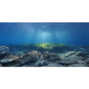Ocean Floor Fish Tank Background Underwater Stone Aquarium Background 72x24 inches Vinyl