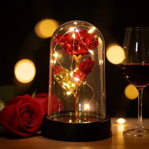 Mother's Day & Nurse's Day Classic Gifts Mini LED Everlasting Rose Eternal Flower Lamp, Romantic Creative Gifts for Women - Valentine's Day, Birthday, Memorable Dates, Luxury Gifts for Her, Anniversary Gift for Wife Daughter, Perfect Surprise Idea for LOV