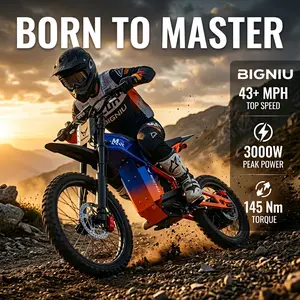 [BIGNIU BG-MASTER] Electric Bike for Adults, High-Performance Motor, 60V Battery, Dual Hydraulic Brakes