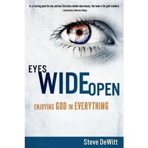 USED-Eyes Wide Open: Enjoying God in Everything by Steve DeWitt (Paperback)