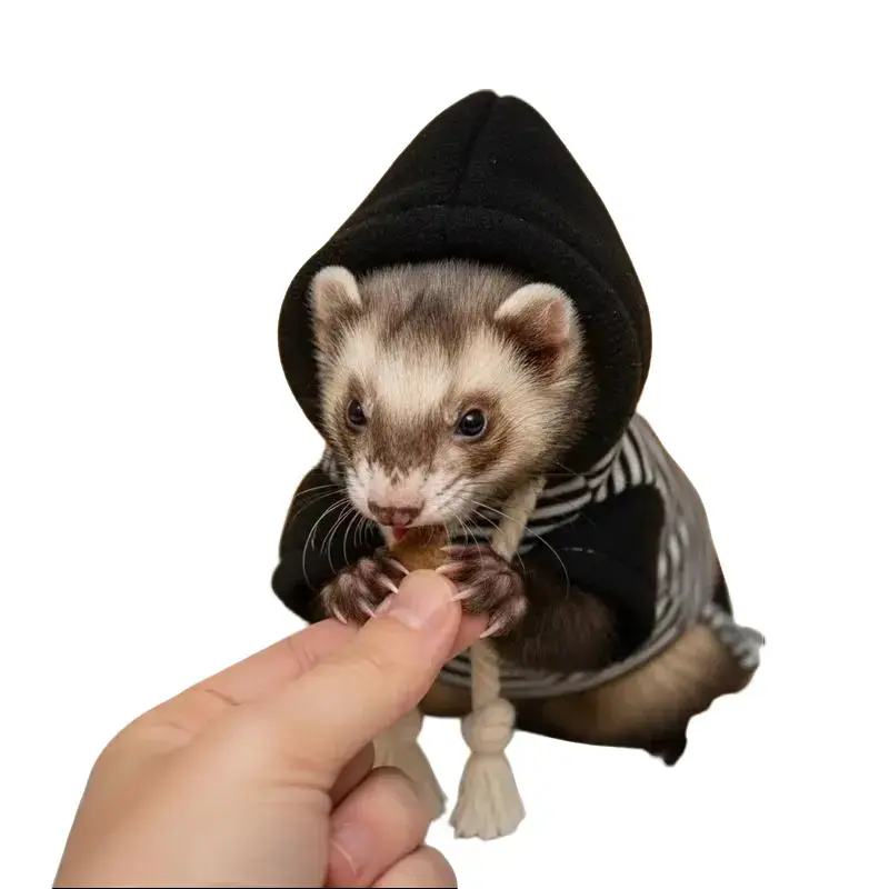 Ferret Fleece Hoodie - Elastic, Cozy, Thick, Soft, Stylish Drawstring Pullover, Velvet Plain 1-Piece Winter Warmth Pet Sweater for Ferrets (Lizard Design), One-Piece