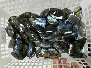 Eliza(11220)gc.flashy labdorite leaves around 50 pcs mix size