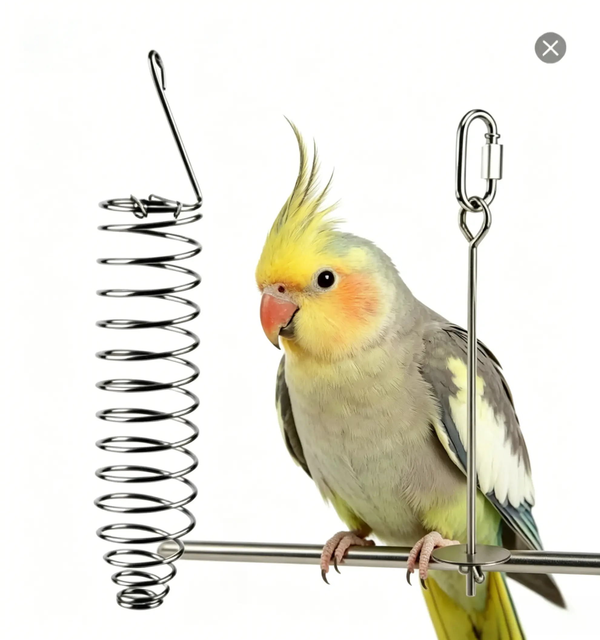2pc Parrot Fruit Vegetable Skewer Feeder