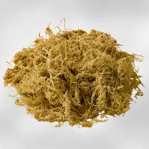 Sphagnum Moss — Premium Long Fiber Substrate