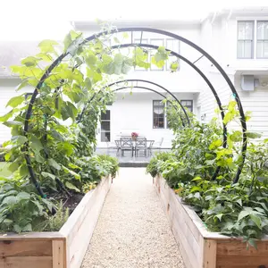 Gardenary Modern Arch Trellis - Powder-Coated Black Steel, Large Rounded Shape, Strong Support for Vining Plants, Includes Gardenary Guide
