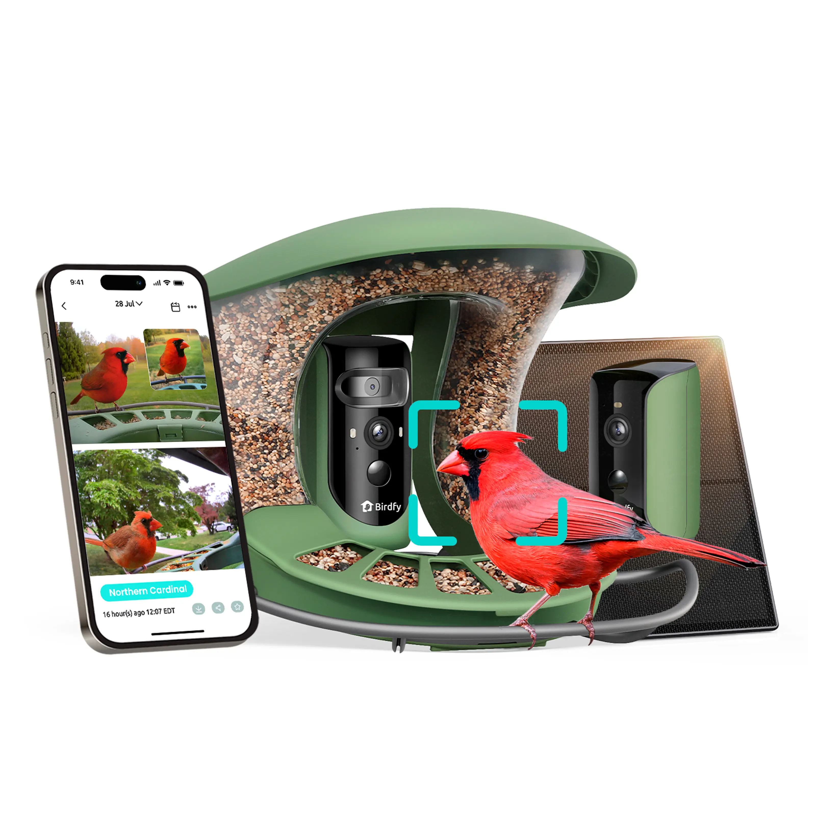 Birdfy 2 Smart Bird Feeder with Camera, AI Identifies Bird Species, 2K Dual-Lens + Side HD Camera for Live Streaming & Feeding View, Solar-Powered Backyard Birdwatching Gift Present, SummerVibes, Petlovers