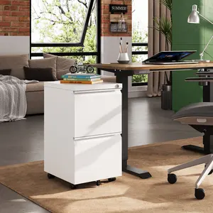 DEVAISE 2 Drawer Mobile File Cabinet with Lock, Commercial Vertical Filing Cabinet for Home Office