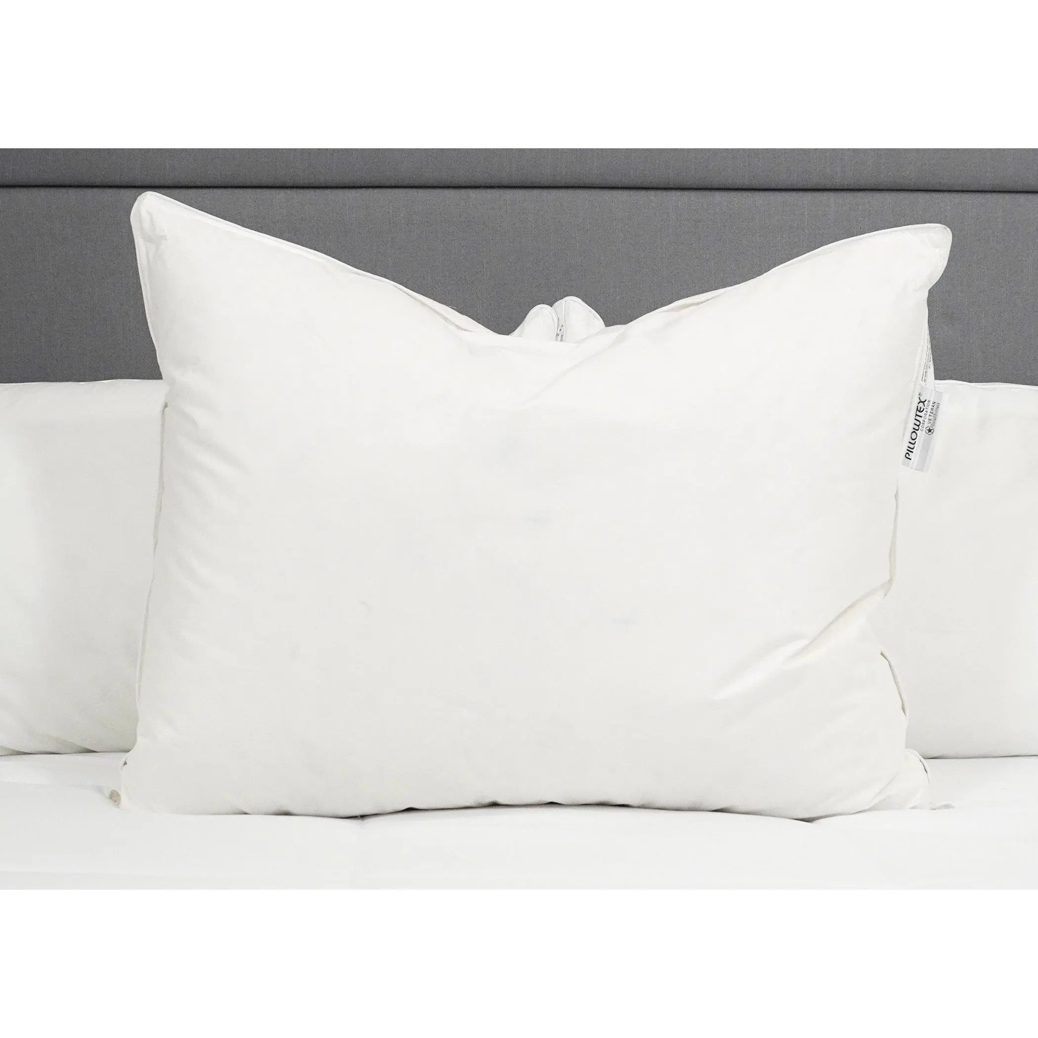 Pillowtex High End White Goose Down Pillow | 50% Feather/50% Down
