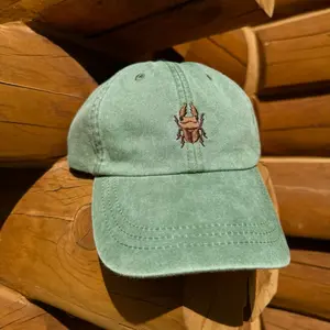 Beetle Embroidered Cap Beetle Embroidered Cap