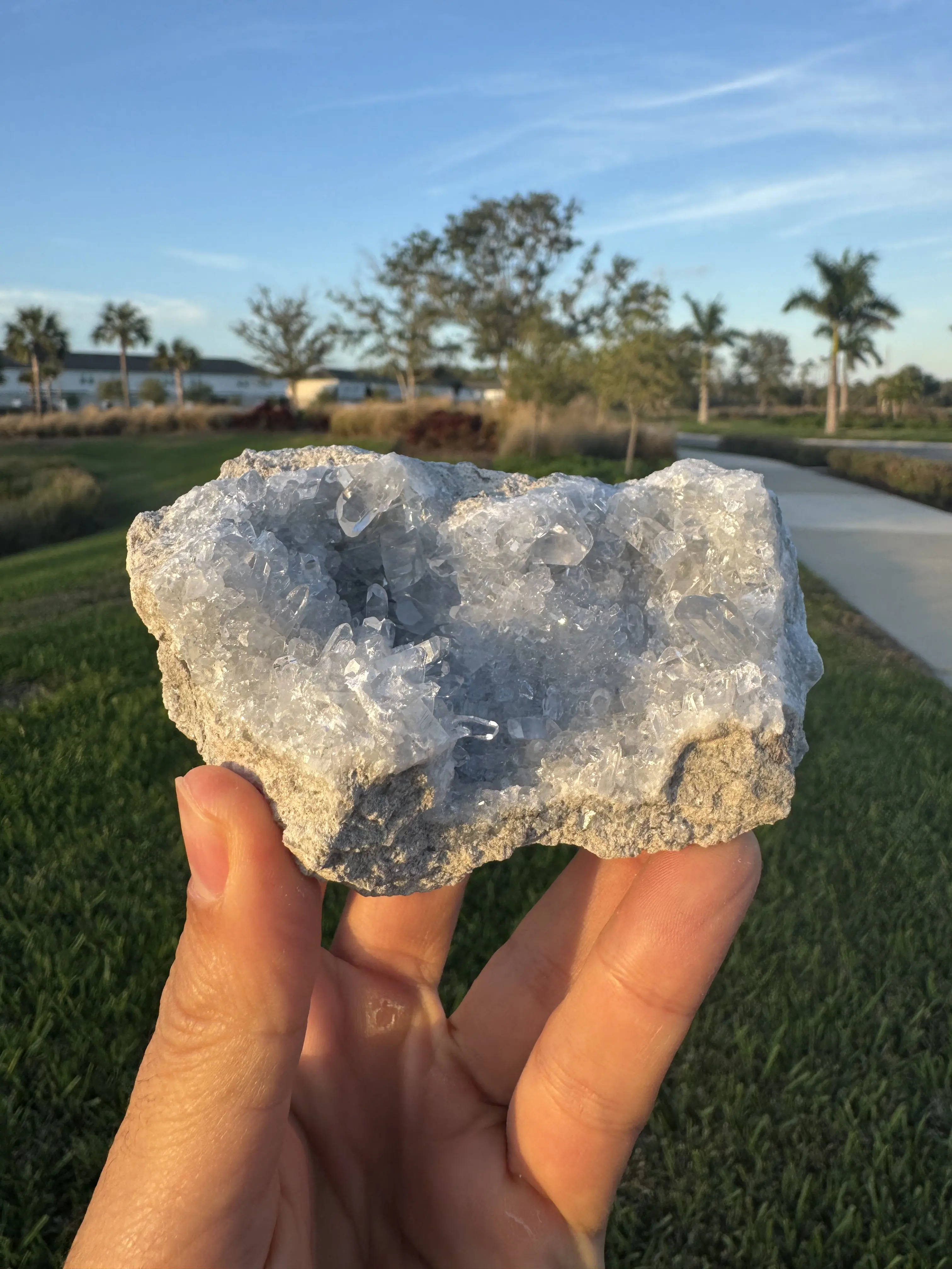 Celestine from Madagascar – Handheld Crystal Cluster – Fine Blue Crystals – Meditation & Decor Specimen