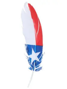 El General Hand-Painted Texas Feather