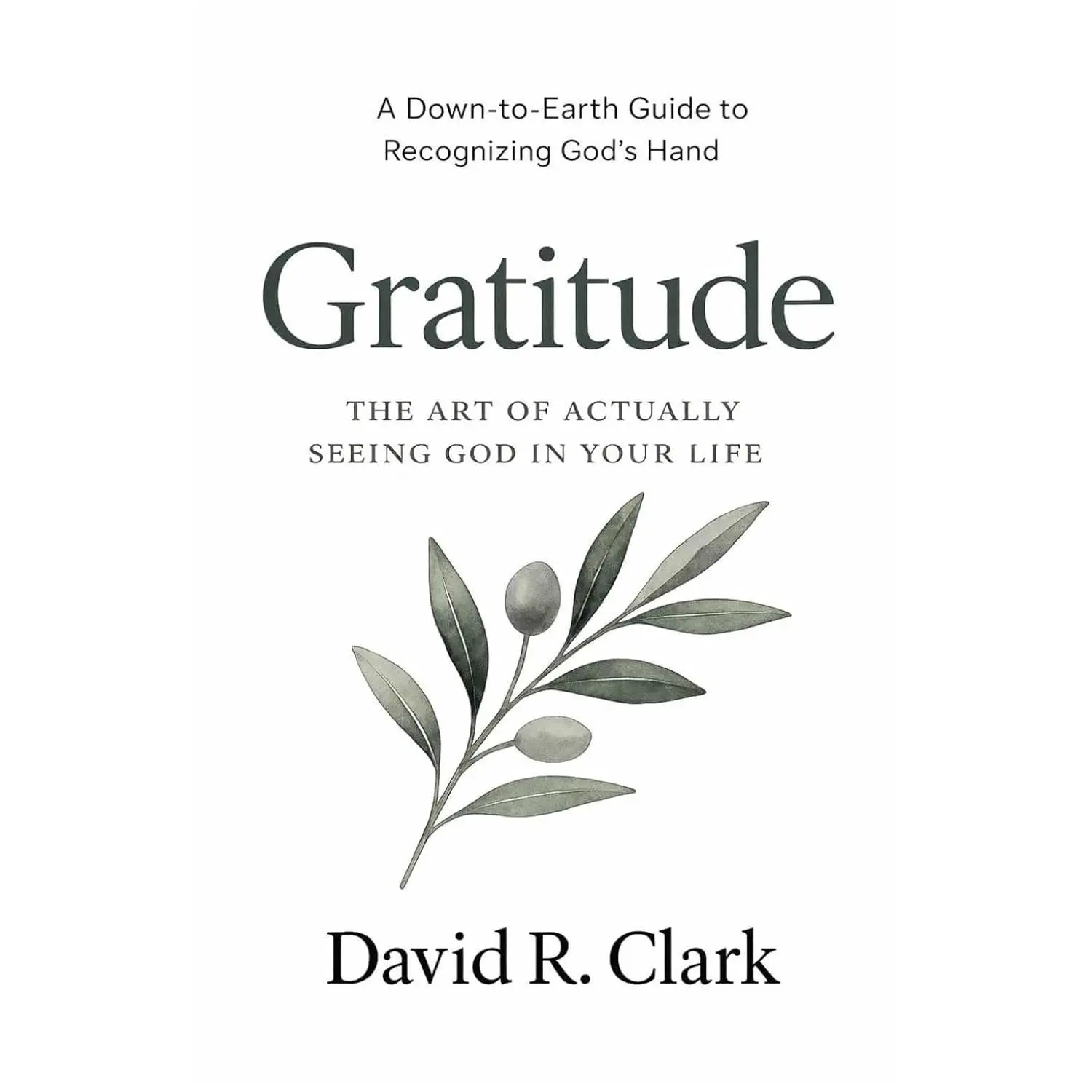 Gratitude: The Art of Actually Seeing God in Your Life (Connecting With Christ)
