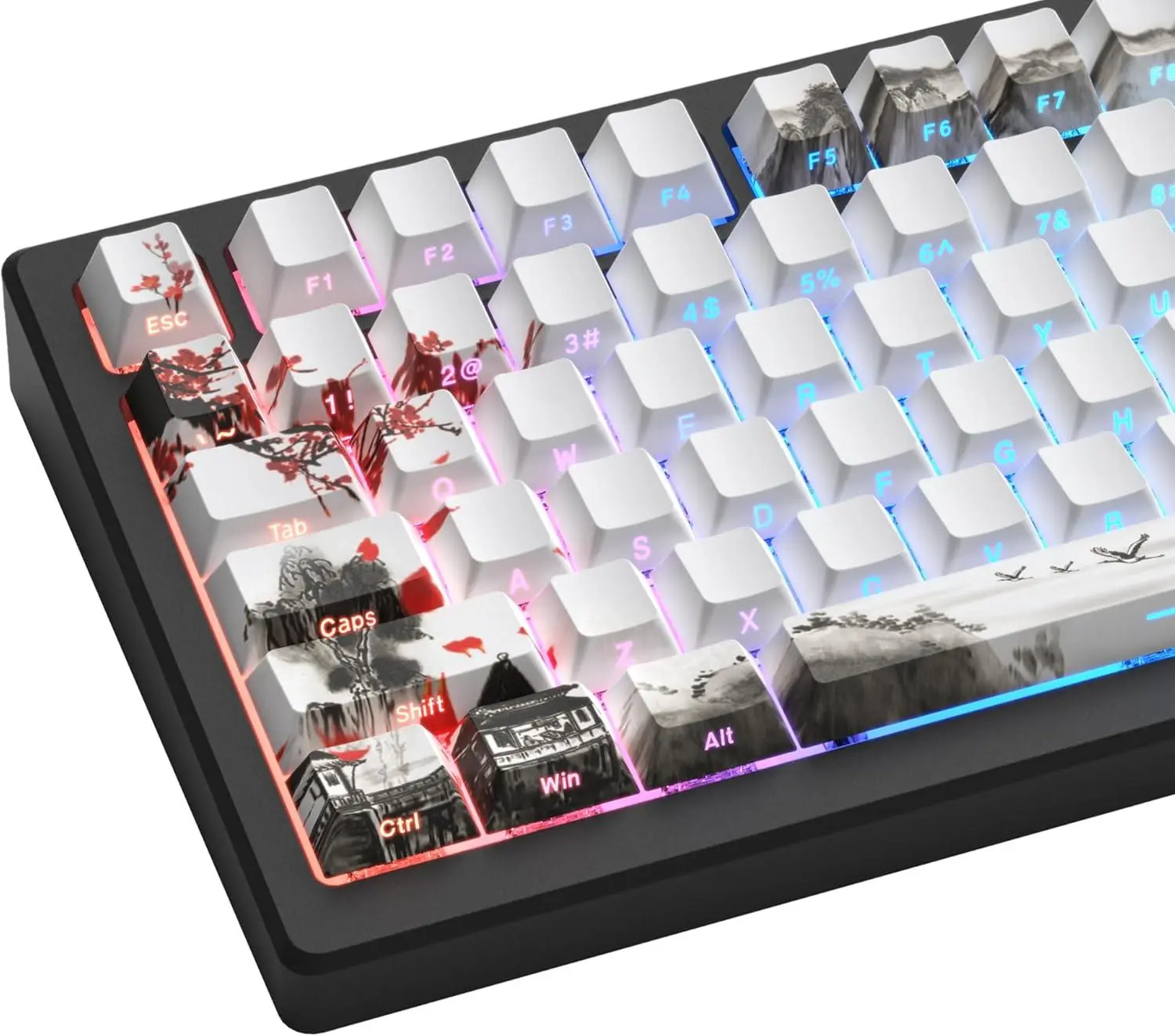 Womier Shine Through Keycaps, PBT Keycap Cherry Profile Custom Keys Set for Cherry Gateron MX Switches Mechanical Keyboard