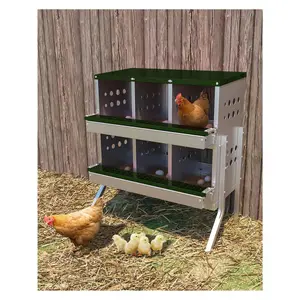 Metal Chicken Nesting Box For Laying Eggs, Rustproof Wall-Mountable Roll Away Chicken Laying Boxes For Hens, Waterproof, Ventilated With Perch, 6 Compartments With Legs, Green