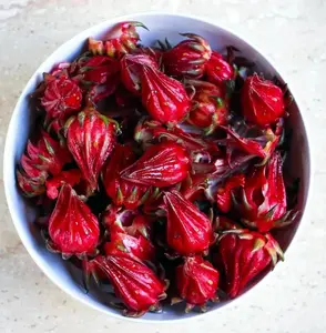 Roselle Seeds (Hibiscus sabdariffa) Rare Luoshen Flower Plant