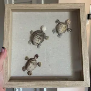 Shadow Box Shell Turtles Wall Decor - 9x9 Handmade Mini Sea Turtles in Light Wood Frame for Coastal Aesthetic Decor - Hanging