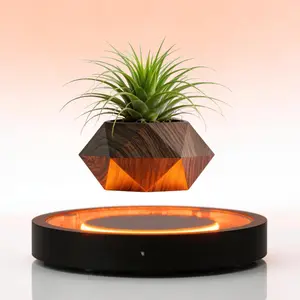 MAGECMOON Magnetic Levitation LED Planter rotates 360° and works as a lovely night light  With futuristic style it fits desktops in bedrooms living rooms and studies It’s a great gift for plant lovers housewarmings business events and Father’s Day