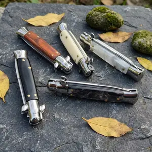 Italian Style Stainless Steel Fruit Knife with Resin Handle, EDC Pocket Cutter, Nylon Sheath for Outdoor Camping & Daily Carry Knives