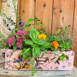 Herb Garden Planter Box For Kitchen Windowsill - Cottage Core, Farmhouse Design