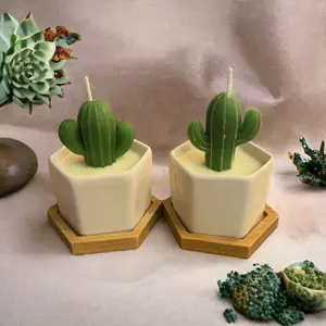Mini Cactus candles