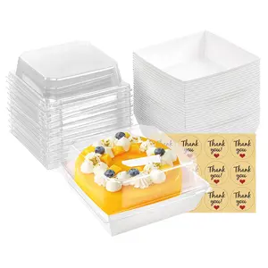 Small Paper Charcuterie Boxes with Clear Lids, Dessert Boxes Square Disposable Paper Bakery Boxes to Go Food Containers for Desserts, Sandwich, Cookie, Sushi, Cake Slice and Strawberries