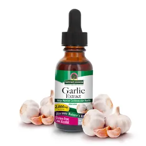 Nature's Answer Garlic 1oz Extract | Promotes Overall Well-being | Made with Low Organic Alcohol | Gluten-Free, Non-GMO & Kosher Certified | Single Count