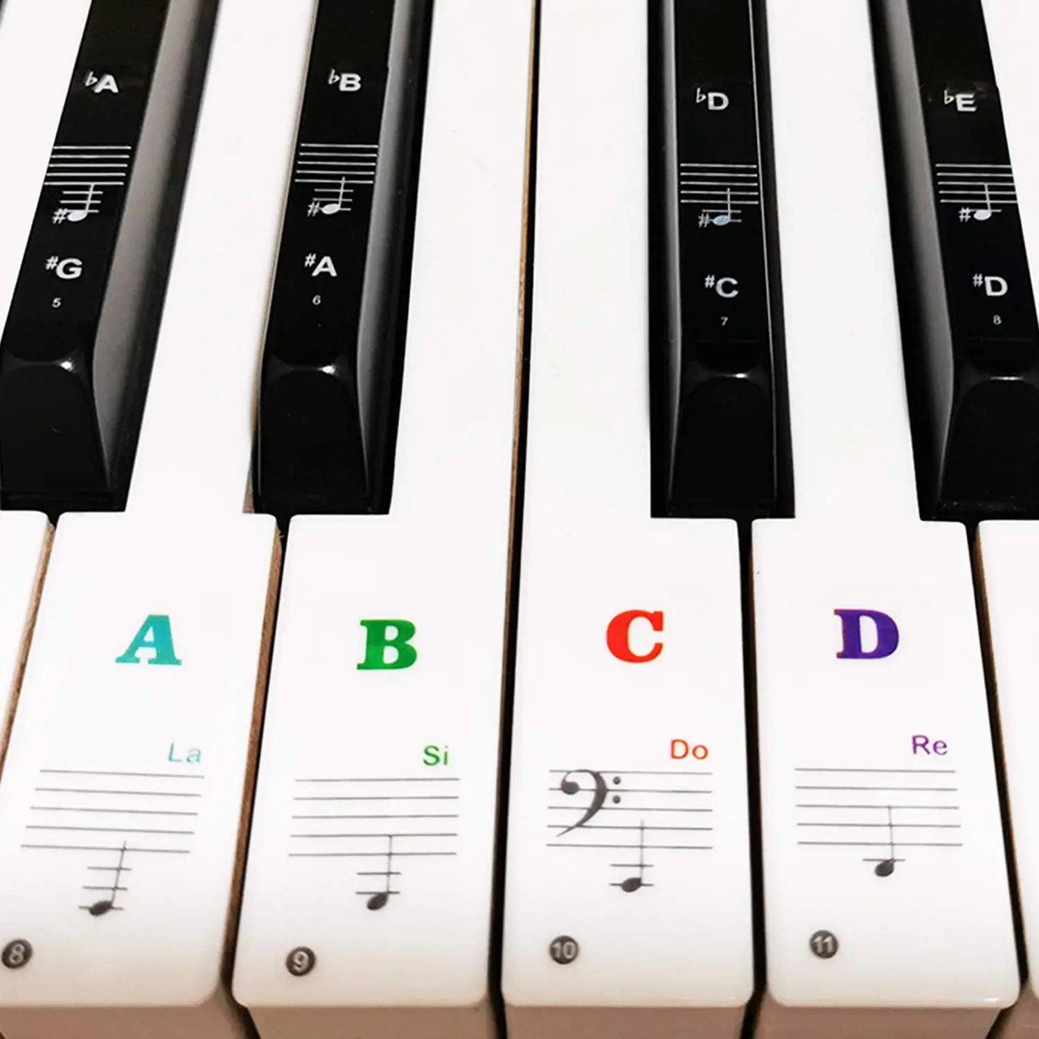 Piano Keyboard Learning Stickers – Multicolor Note Labels + Sheet Music for 37–88 Keys Laminated Practice Sessions
