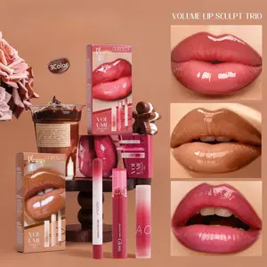 3Pcs Glossy Lip Set: Lipliner + Glass Lip Gloss + Mirror Shine Lipstick,  All-Day Wear Smooth Texture Long-Lasting Lip Kit, Perfect Nude Lip Combo for Daily Wear makeup style brand
