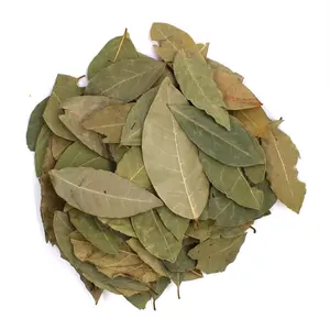 Bay Laurel
