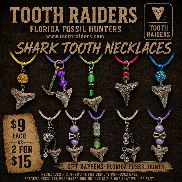 Tooth Raiders Florida Fossil Hunters Shark Tooth Necklaces Handmade with Authentic Shark Teeth & Real Fossils for Beach Lovers