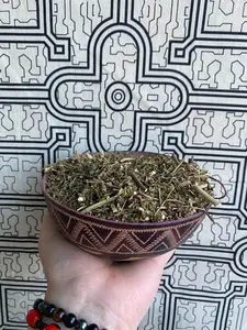 Rue Herb - Ruda Herb -Rue Herbs - Ruta Graveolens - Herbal Supplement 4 oz