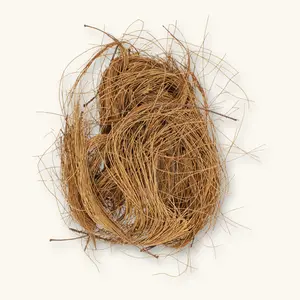 Natural Casuarina Pine Needles (8oz) by Betta Botanicals for Shrimp Tanks & Blackwater Aquariums