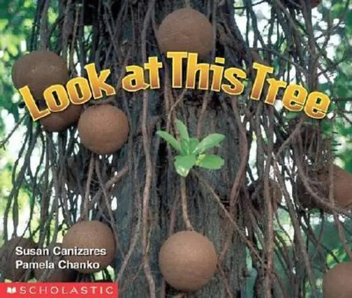 USED-Look At This Tree (Science Emergent Readers) by Scholastic (Paperback)