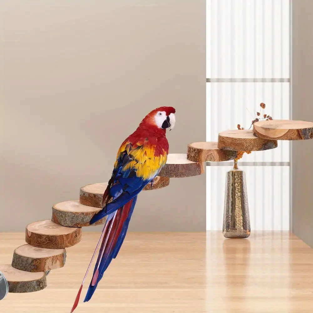 Natural Wood Parrot Ladder Toy for Small Birds - Multi-Level Climbing Exercise Stand with Secure Perches, Bird Climbing Activity Toy for Parakeets & Pet Bird Mental Stimulation & Physical Health, Parrot Accessories