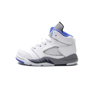 Jordan 5 Retro TD "Stealth 2.0"