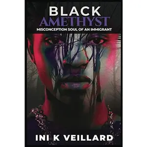 USED-Black Amethyst: Misconception Soul Of An Immigrant by Ini K Veillard (Paperback)