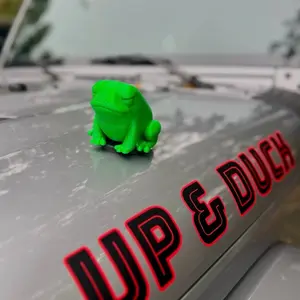 Big Magnetic Frog, The Exterior High Quality Magnetic Material