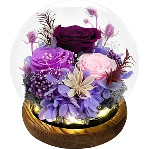 FIACO Gifts for Mom Flowers for Delivery Prime Birthday Gifts for Women Mothers Day Grandma Gifts Forever Preserved Flowers Fresh Eternal Rose in Glass Dome for Girlfriend Wife Her