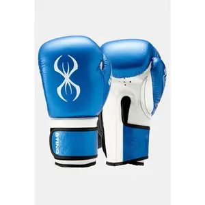 Armapro Boxing Gloves