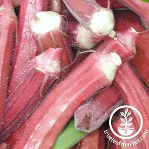 Okra Seeds - Red Burgundy
