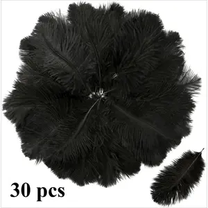 30 Pieces of 5.91-7.87-inch Simulated Ostrich Feathers, Decorative Craft Feathers for DIY Projects, Weddings, Home Decor, Desktop Decoration, Parties, Christmas and Thanksgiving Celebrations