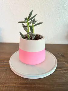 2 Tone- Cement Planter 2 Tone- Cement Planter