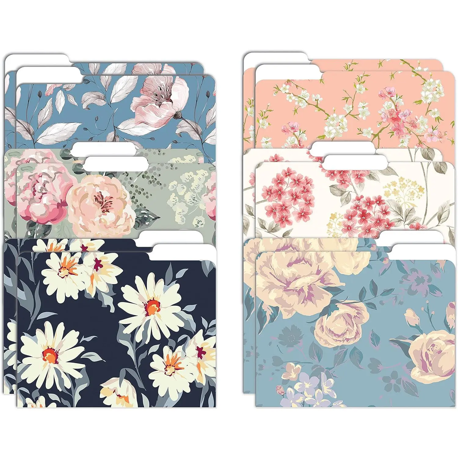 Decorative File Folders, 12 Pack, 6 Designs, Heavyweight, Letter Size (9.5" x 11.5") with 1/3 Cut Tab, Traditional Floral Designs with Matte Finish, Fashion Folders