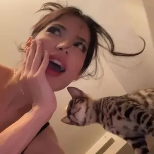 background preload poster image 