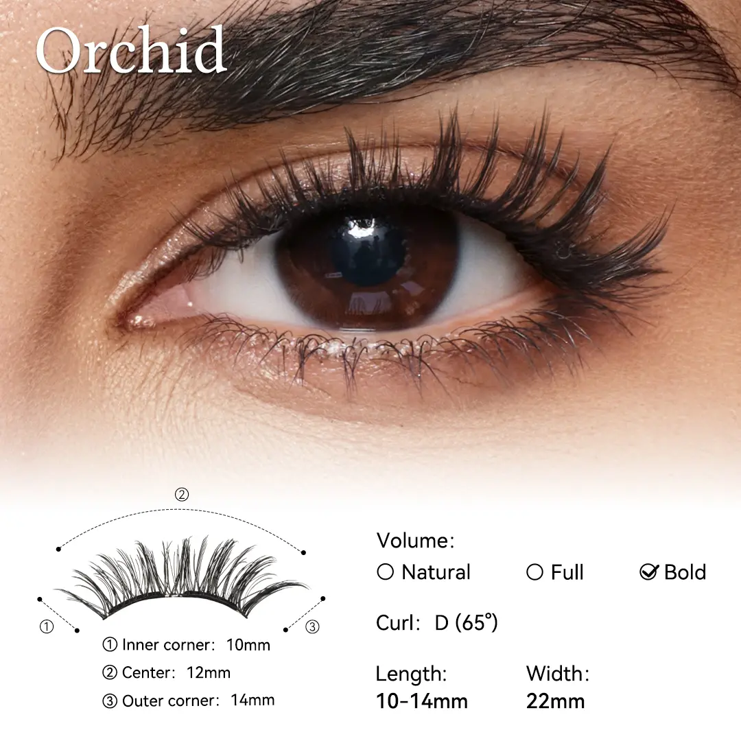 Orchid