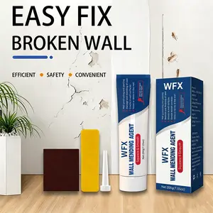 WFX Drywall Repair Kit, Wall Patch Repair, 100g Wall Mending Agent, Spackle, Hole Filler, Quick-Dry WalWFX  Filler, Multi-Purpose Adhesive, Concrete Crack Sealant, Waterproof Wall Repair, Self-Adhesive Fix, DIY Wall Repair