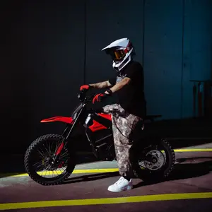 In 10 Pro Ebike