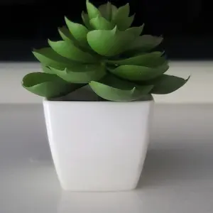 Artificial Succulent for your office or home.